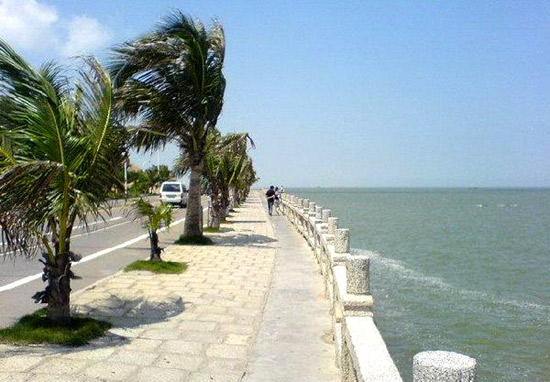 珠海情侣路的海堤、椰树与开阔海面
